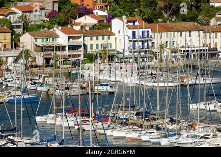 Francia, Var, Toulon Bay, Saint Mandrier sur Mer, il porto Foto Stock