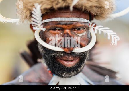 Indonesia, Papua, città di Wamena, ritratto di un uomo della tribù Dani, che porta zappicchi di cinghiale attraverso il naso. Baliem Valley Cultural Festival, ogni agosto, le tribù si riuniscono per eseguire scene di guerra ancestrali, sfilate e danze in abiti tradizionali Foto Stock