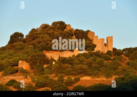 Francia, Var (83), Hyères, vieille ville, Château d'Hyères/Francia, Var, Hyeres, Città Vecchia, Castello di Hyeres Foto Stock