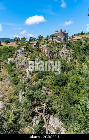 Francia, Haute Loire, Saint Didier d'Allier, Allier valle Foto Stock