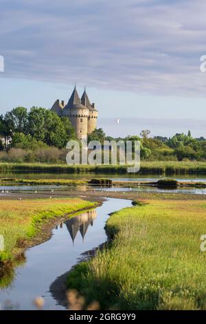 Francia, Morbihan, Golfo di Morbihan, penisola di Rhuys, Sarzeau, Castello medievale di Suscinio, residenza dei Duchi di Bretagna e le paludi di Suscinio, Area Naturale sensibile Foto Stock