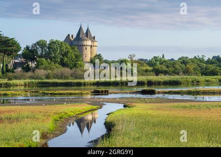 Francia, Morbihan, Golfo di Morbihan, penisola di Rhuys, Sarzeau, Castello medievale di Suscinio, residenza dei Duchi di Bretagna e le paludi di Suscinio, Area Naturale sensibile Foto Stock