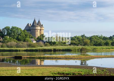 Francia, Morbihan, Golfo di Morbihan, penisola di Rhuys, Sarzeau, Castello medievale di Suscinio, residenza dei Duchi di Bretagna e le paludi di Suscinio, Area Naturale sensibile Foto Stock