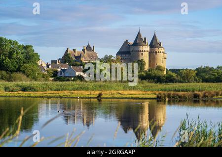 Francia, Morbihan, Golfo di Morbihan, penisola di Rhuys, Sarzeau, Castello medievale di Suscinio, residenza dei Duchi di Bretagna e le paludi di Suscinio, Area Naturale sensibile Foto Stock