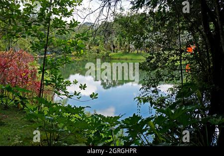 BRUMADINHO, MINAS GERAIS, BRASILE - 17 GENNAIO 2018: Vista parziale del lago in Instituto Inhotim (Istituto Inhotim) Foto Stock