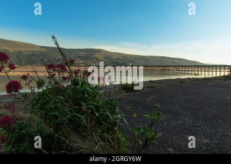 Vista sulla ferrovia e passerella a Barmouth nel Galles United Kindgom Foto Stock