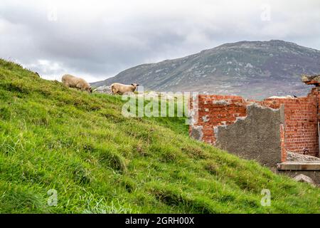 Le rovine del forte di Lenan Head sulla costa settentrionale della contea di Donegal, Irlanda Foto Stock