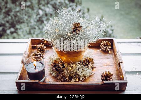 Decorativo Argento colore cuscino cespuglio, Calocephalus brownii o Leuchyta come elemento di decorazione di Natale invernale, decorato con coni di pino. Foto Stock