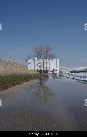 Riflesso di un albero su una strada allagata e sullo sfondo la campagna innevata Foto Stock