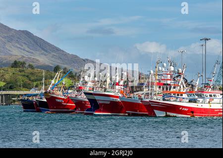 Castletownbere, West Cork, Irlanda. 1 ottobre 2021. La flotta di pescatori di Castletownbere è ormeggiata in una giornata di sole a West Cork. Questo pomeriggio sarà un mix di incantesimi soleggiati e docce sparse, con questo che va avanti nel fine settimana. Credit: AG News/Alamy Live News Foto Stock