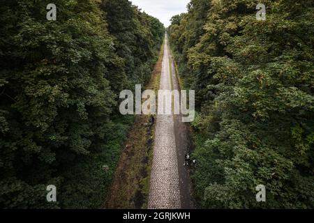 L'illustrazione mostra un settore di pietra di ciottoli dritti attraverso una foresta durante una sessione di addestramento e di ricognizione di pista davanti alla 118a edizione Foto Stock