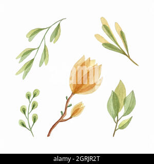 Set di acquerelli botanici, disegno a mano, foglie di magnolia rami, elementi di disegno, isolati, sfondo bianco. Illustrazione vettoriale Illustrazione Vettoriale