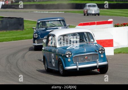 FIAT 1100 classica, auto da corsa d’epoca, nel Trofeo di St Mary per le berline di produzione anni ’50 al Goodwood Revival 2014 Foto Stock