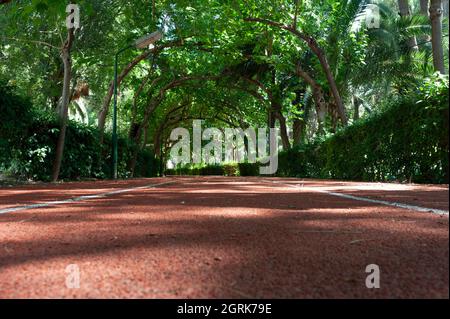 La pista, pista da corsa, pista tartan. Foto Stock