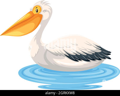 Pelican seduto sull'acqua Illustrazione Vettoriale