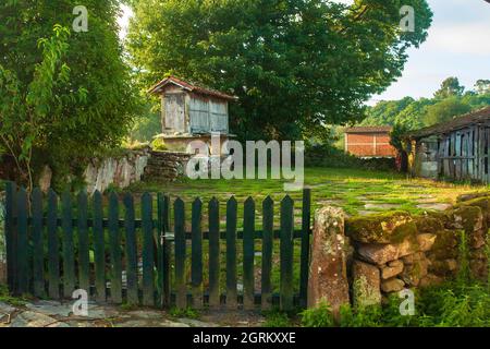 Costruzioni galiziane tipiche per immagazzinare grano Foto Stock