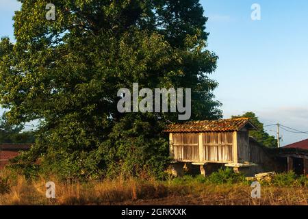 Costruzioni galiziane tipiche per immagazzinare grano Foto Stock