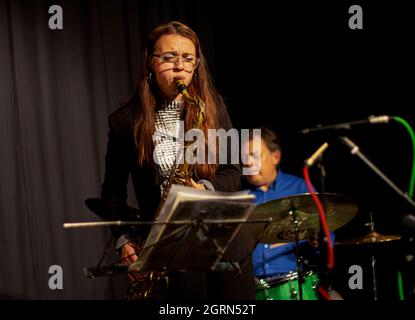 Alex Clarke, Clark Tracey - Art Themen e Alex Clarke Quintet - Herts Jazz Club - The Maltings Theatre - St Albans - Hertfordshire Foto Stock