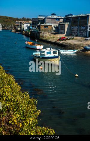 Barche ormeggiate a Batson Creek Salcombe, South Devon Inghilterra Foto Stock