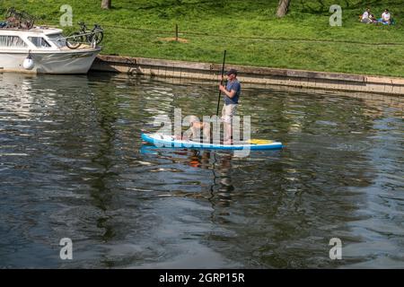 Vita rilassante come l'uomo e il suo cane a pagaia a bordo del fiume Cam a Cambridge Inghilterra Foto Stock