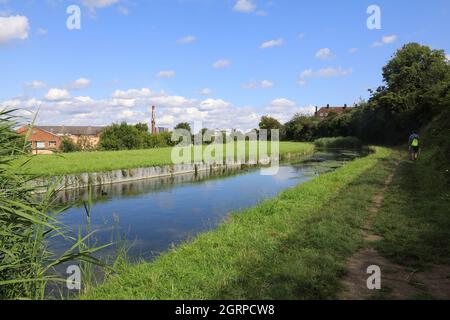 Vista lungo il fiume Lea sulla TFL Capital Ring Walk, vicino a Seven Sisters, a NE London, Regno Unito Foto Stock