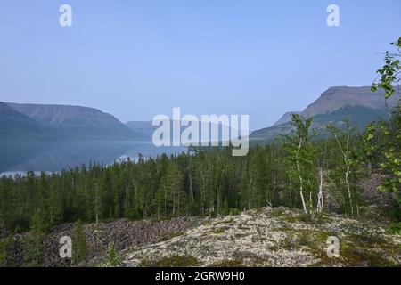 Monte taiga sull'altopiano Putorana. Estate paesaggio forestale in Siberia Orientale. Foto Stock