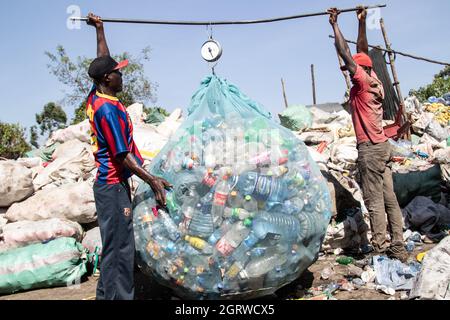 Nakuru, Kenya. 01 ottobre 2021. I raccoglitori di rifiuti sono visti pesare bottiglie di plastica in un impianto di riciclaggio vicino al sito di scarico Gioto a Nakuru.il problema crescente dei rifiuti di plastica che finiscono nell'ambiente sta diventando una preoccupazione e gli ambientalisti stanno chiedendo maggiori investimenti nelle infrastrutture per riciclare la plastica per promuovere l'economia circolare e ridurre inquinamento plastico. Essi chiedono inoltre al governo di introdurre un sistema obbligatorio di deposito e rimborso delle bottiglie (DRS) che darà valore alle bottiglie di plastica per bevande comunemente note come animali da compagnia (polietilentereftalato). Schema di rimborso del deposito Foto Stock