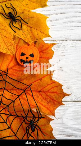 Oggetti di Halloween su tavola di legno bianco, vista dall'alto verticale di foglie e ragni di acero caduta, giacitura piatta. Natura arancione Halloween decorazioni su ba chiaro Foto Stock