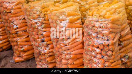 Sacchetti con carote fresche giovani preparati per la vendita. Carote appena raccolte. Raccolta di verdure biologiche. Agricoltura e agricoltura. Messa a fuoco selettiva Foto Stock