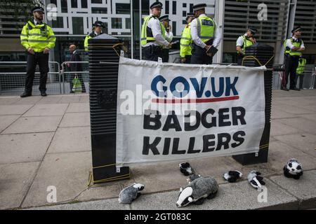 Londra, Regno Unito. 26 agosto 2021. Una bandiera e giocattoli di tasso sono esposti fuori del Home Office e della DEFRA da un attivista per i diritti degli animali per protestare contro l'abbattimento dei tassi. Più di 100,000 tassi sono stati uccisi in culle che si estendevano dalla Cornovaglia e dalla Cumbria dal 2013 con l'intento di ridurre le infezioni da tubercolosi bovina (BTB) nei bovini, ma la vaccinazione sostituirà tali culle, che non saranno più consentite in Inghilterra, a partire dal 2022. Credit: Mark Kerrison/Alamy Live News Foto Stock