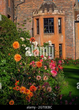 Chenies Manor House in Autumn.Plant confine con grandi fiori di dahlia arancione e rosa portare l'occhio alle finestre della baia del maniero Tudor nel mese di settembre. Foto Stock