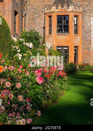 Chenies Manor House in Autumn.Plant confine con grandi fiori di dahlia arancione e rosa portare l'occhio alle finestre della baia del maniero Tudor nel mese di settembre. Foto Stock