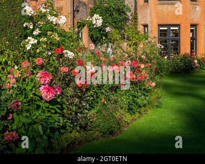 Chenies Manor House in Autumn.Plant confine con grandi fiori di dahlia arancione e rosa portare l'occhio alle finestre della baia del maniero Tudor nel mese di settembre. Foto Stock