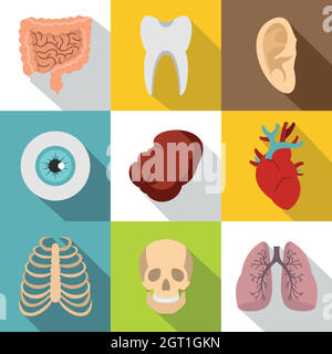 Gli organi interni set di icone di stile di Piana Illustrazione Vettoriale