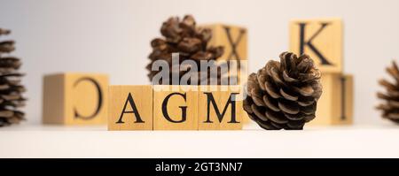L'AGM è stato creato da cubi di legno. Concetto di cono di pino. Sfondo bianco e primo piano. Foto Stock