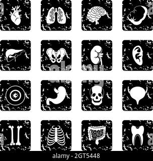 Gli organi umani set di icone Illustrazione Vettoriale