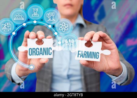 Scrittura visualizzazione testo Agricoltura biologica. Internet Concept un sistema agricolo integrato che si impegna per la sostenibilità Business Woman Holding Jigsaw Foto Stock