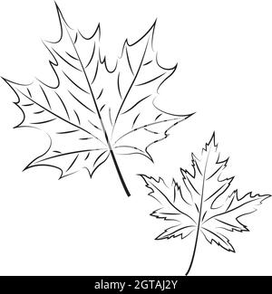 Foglie di acero disegnate su sfondo bianco, illustrazione vettoriale Illustrazione Vettoriale