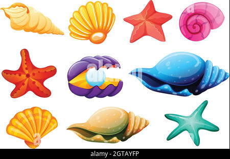 Raccolta della shell Illustrazione Vettoriale