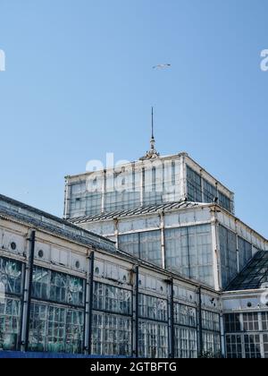 I Great Yarmouth Winter Gardens, in disuso, sono un edificio vittoriano classificato di grado II* a Great Yarmouth, Norfolk Inghilterra Foto Stock