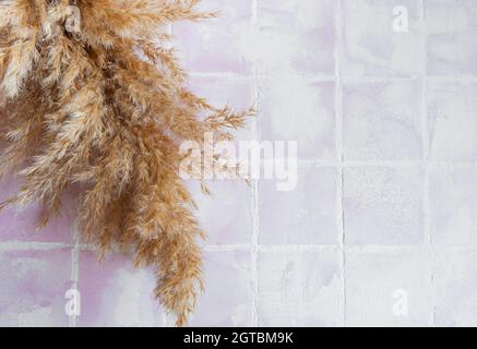 Flatlay di pampas erba su sfondo piastrella. Concetto minimo. Disposizione piatta, vista dall'alto, spazio di copia. Foto Stock