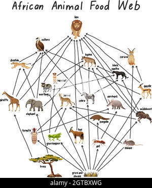 African animale alimentare web su sfondo bianco Illustrazione Vettoriale