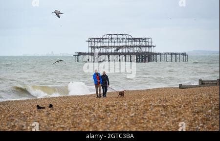 Brighton UK 2 ottobre 2021 - Dog Walkers coraggioso le condizioni sulla spiaggia di Brighton come tempo umido e ventoso è previsto per spazzare attraverso la maggior parte della Gran Bretagna oggi : Credit Simon Dack / Alamy Live News Foto Stock