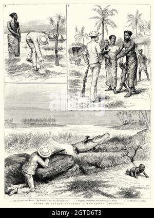 Incisione d'epoca che mostra un cacciatore a Ceylon (Sri Lanka) a caccia di un uomo che mangia coccodrillo, e usando un bambino umano un'esca. Il grafico, 1888 Foto Stock