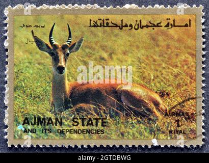 Cancellò francobollo stampato da Ajman, che mostra Gazelle, circa 1973. Foto Stock