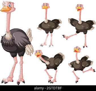 Set di simpatici personaggi di struzzi Illustrazione Vettoriale