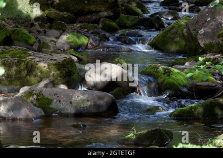 Immagine di lungo il fiume Caerfanell nella regione di Blaen y Glyn dei Brecon Beacons, Galles del Sud, Regno Unito Foto Stock