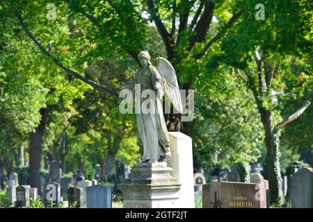 Vienna, Austria. Il cimitero centrale di Vienna. Angelo statua al cimitero centrale Foto Stock