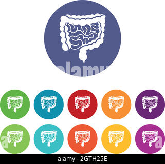 Icone del set di intestini Illustrazione Vettoriale