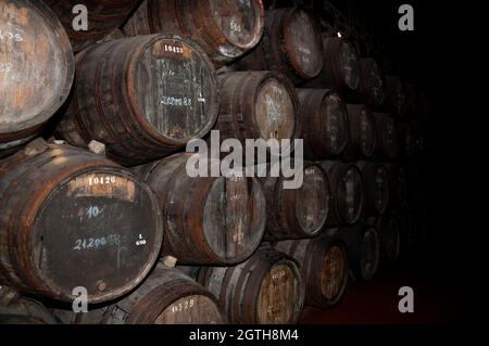 Invecchiamento Whiskey in botti di rovere Foto Stock